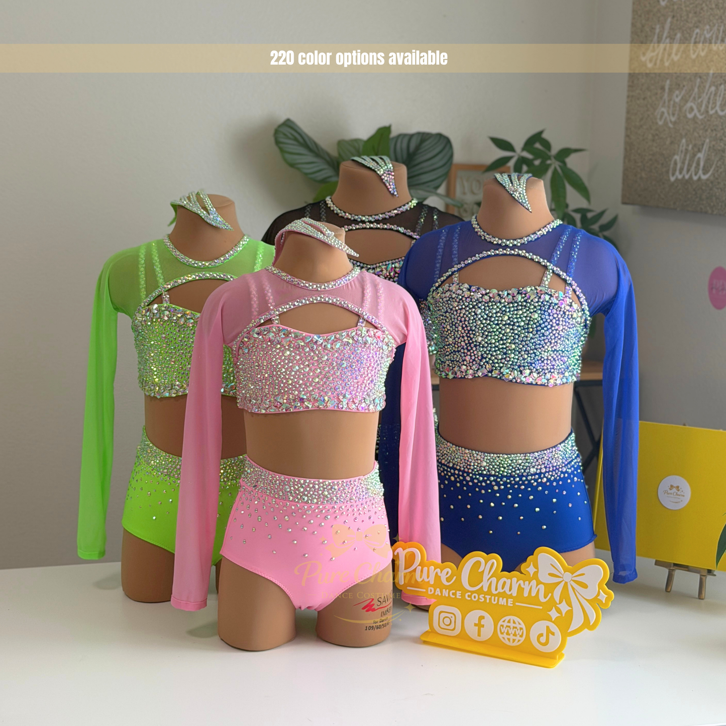 Pure Charm ✨ Long Sleeve (Mesh) Jazz Dance Costume